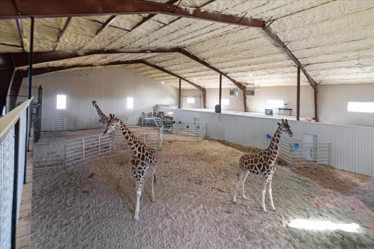 فندق Blue Hills Ranch McGregor المظهر الخارجي الصورة