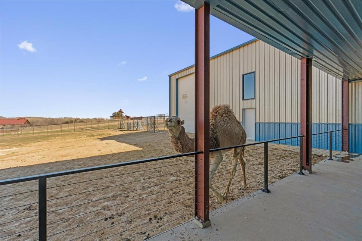 فندق Blue Hills Ranch McGregor المظهر الخارجي الصورة