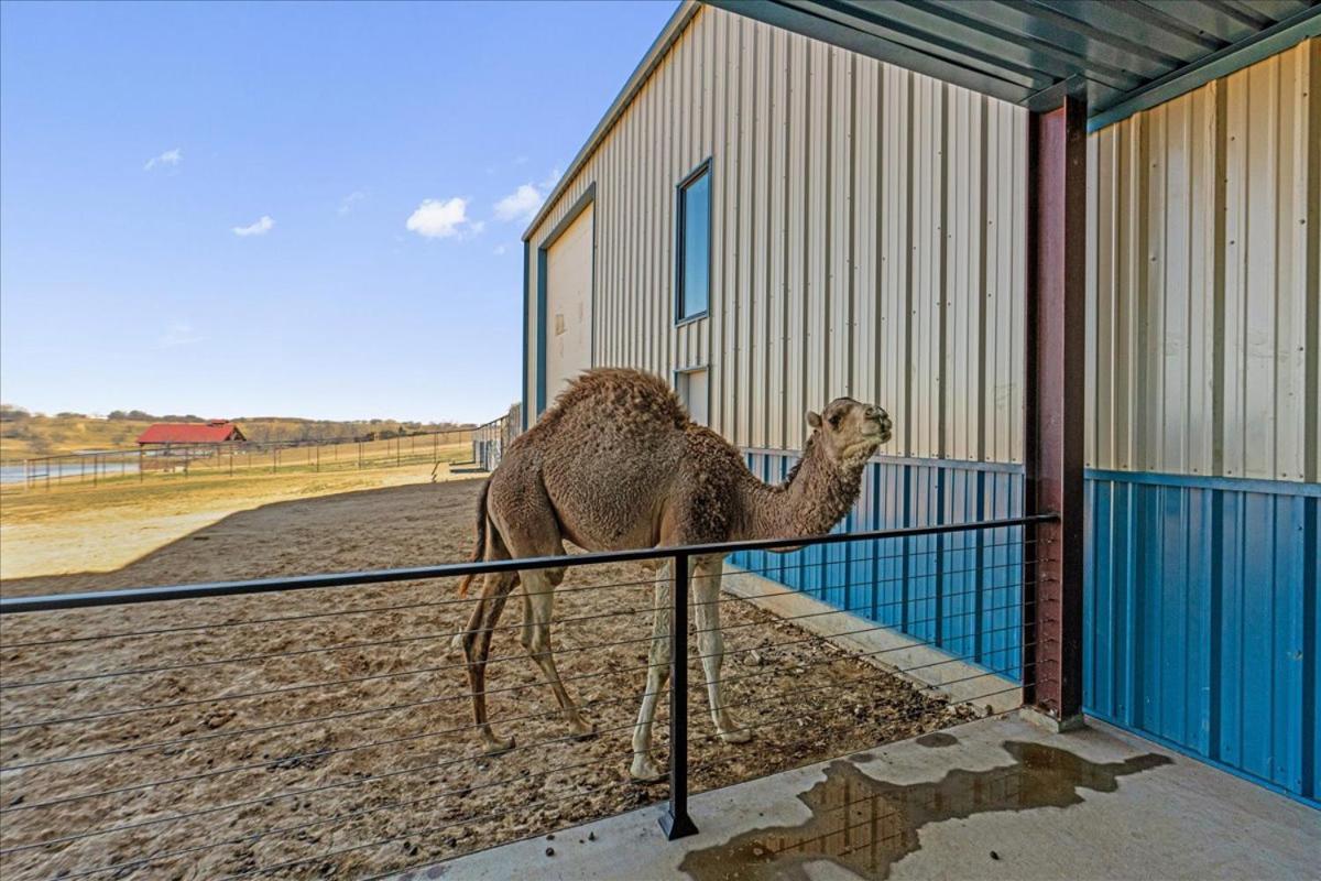 فندق Blue Hills Ranch McGregor المظهر الخارجي الصورة
